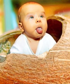 Baby In Coconut paint by numbers