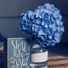 Beautiful Hydrangea Blue Flower Paint By Numbers