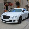 Bentley Continental GT paint by numbers