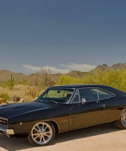 Black Dodge Car In Nature paint by numbers