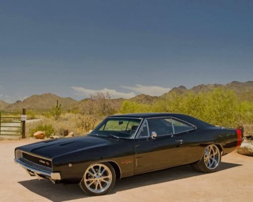 Black Dodge Car In Nature paint by numbers