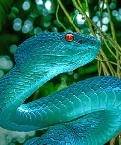 Blue Snake Viper paint by numbers