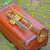 Brass Leather Music Instrument paint by numbers