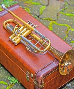 Brass Leather Music Instrument paint by numbers