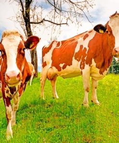 Brown And White Cows Paint By Numbers