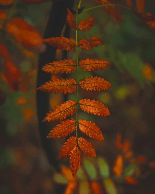 Brown Brusied Leaves paint by numbers