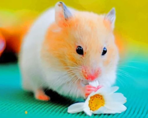 Brown Hamster Eating Flower paint by numbers