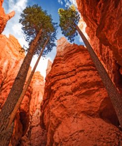 Bryce Canyon National Park paint by numbers