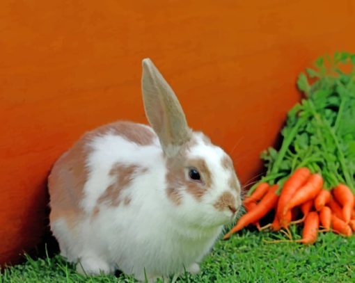 Carrot Rabbit Paint By Numbers