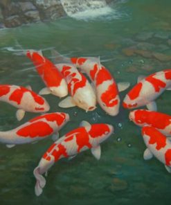 Colorful Koi fish Paint By Numbers