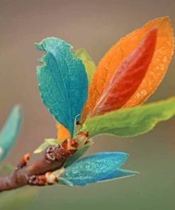 Colorful Tree Leaves paint by numbers