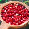 Cranberry fruit In Plate paint by numbers