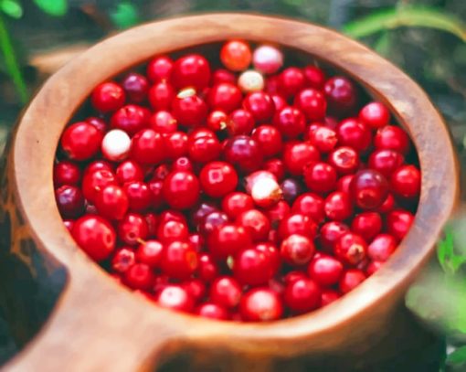 Cranberry fruit In Plate paint by numbers