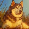 Dog Husky Glance Animal paint by numbers