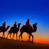 Evening Desert Camels Paint By Numbers