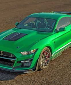 Ford Mustang Shelby GT500 paint by numbers