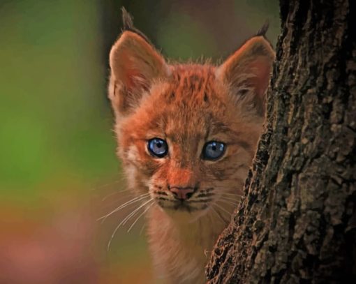 Forest Bobcat Cub paint by numbers