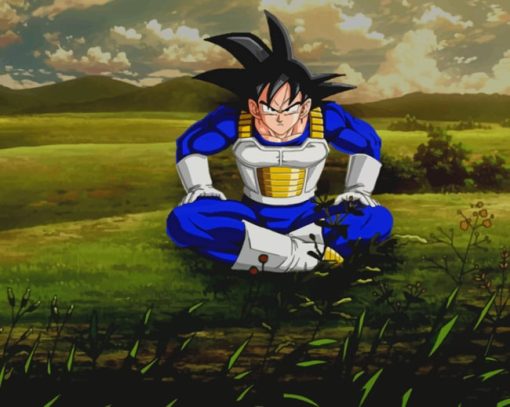 Goku In Saiyan Uniform Dragon Ball Z paint by numbers