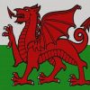 Grand Britain Flag Of Wales paint by numbers