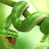 Green Tree Snake paint by numbers