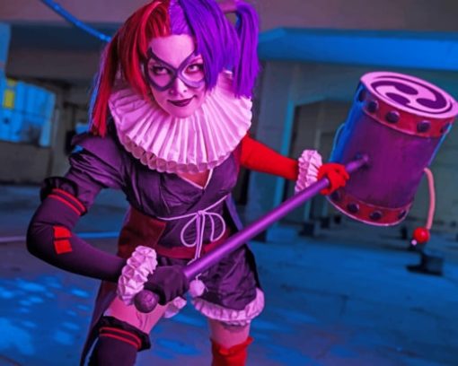 Harley Quinn Costum paint by numbers