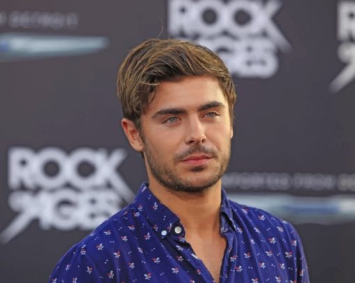 Hollywood Star Zack Efron paint by numbers