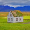 House In Grasslands paint by numbers