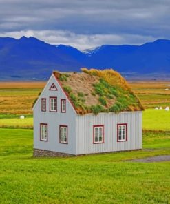 House In Grasslands paint by numbers