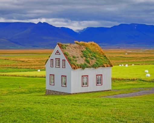 House In Grasslands paint by numbers