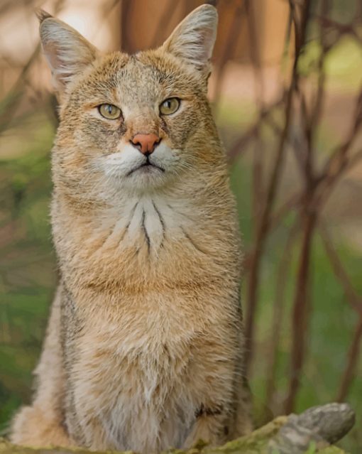 Jungle Cat With Green Eyes paint by numbers