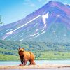 Kamchatka Russian Lake Paint By Numbers