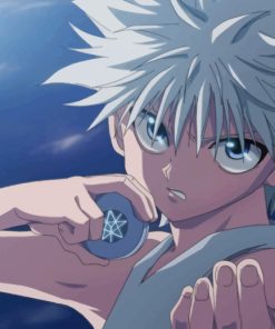 Killua Zoldyck Assassin paint by numbers