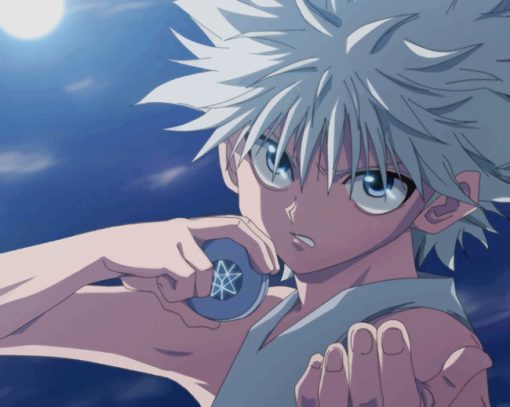 Killua Zoldyck Assassin paint by numbers