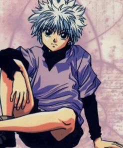 Killua Zoldyck Hunter X Hunter paint by numbers