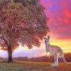 Kangaroo During Sunset Paint By Numbers