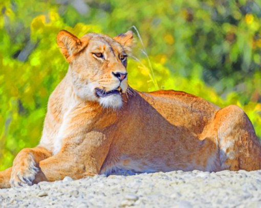 Big Cat Lioness paint by numbers