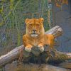 Lioness Sitting On Tree Branch paint by numbers