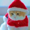 Little Kitty In Santa Red Cloths paint by numbers