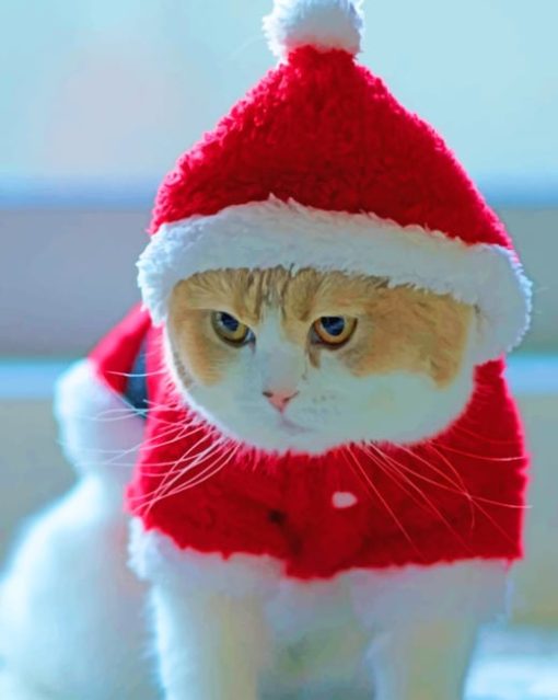 Little Kitty In Santa Red Cloths paint by numbers