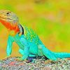 Lizard Amphibian Reptile paint by numbers