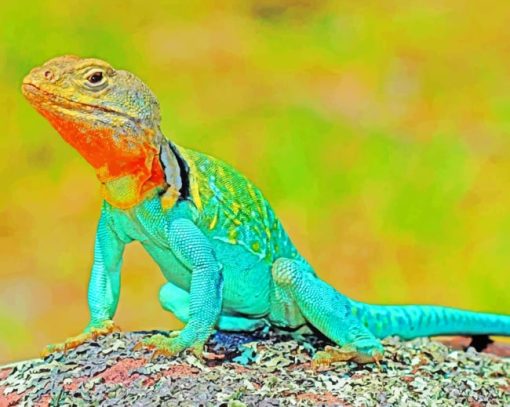 Lizard Amphibian Reptile paint by numbers