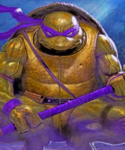 Ninja Turtles Donatello paint by numbers