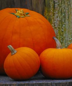 Orange Pumpkins On Tree paint by numbers