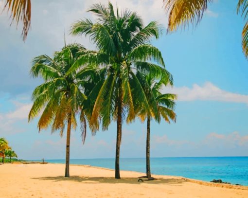 Palm Trees In The Beach paint by numbers