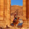 Petra Camel Paint By Numbers