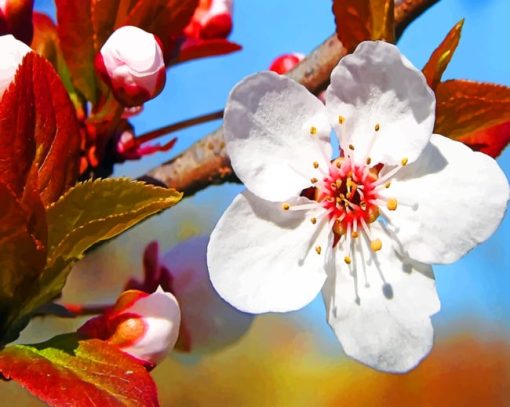 Plum Tree Blossoms paint by numbers