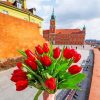 Poland Flowers