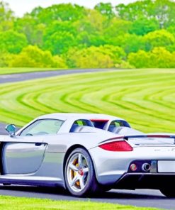 Porsche Carrera Gt Silver paint by numbers