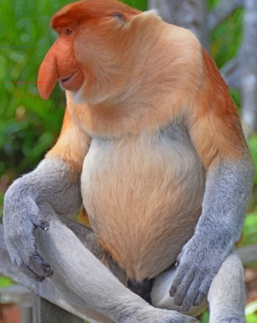 Proboscis Monkey paint by numbers