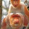 Proboscis Monkeys paint by numbers